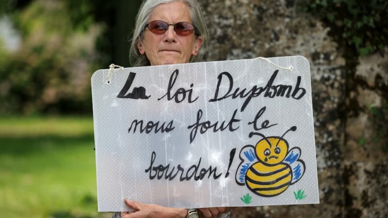 Une-opposante-a-la-loi-Duplomb-membre-de-la-Confederation-paysanne-a-Saint-Michel-dans-le-Gers-le-5-juin-2025-2113768