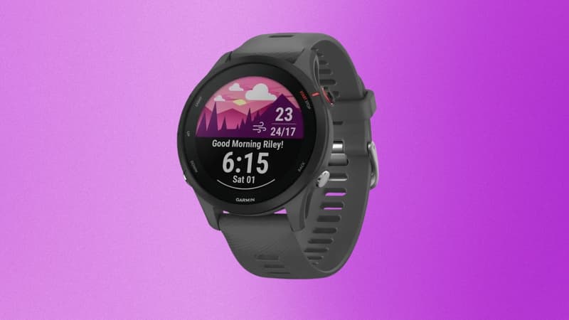 Erreur-de-prix-ou-offre-delirante-sur-la-fameuse-montre-Garmin-Forerunner-2080651