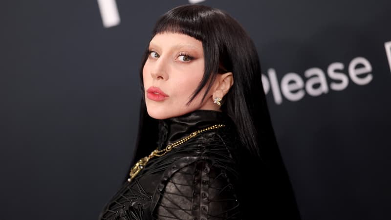 La-chanteuse-Lady-Gaga-2045332