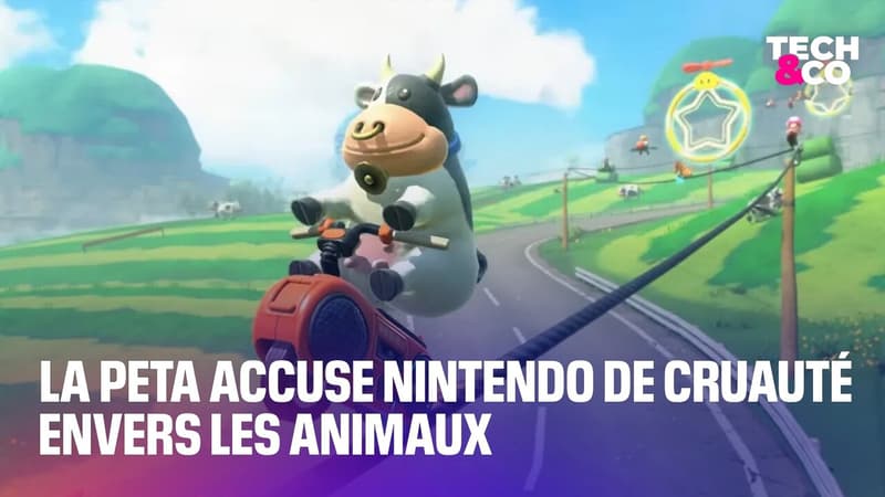 Une-association-accuse-Nintendo-de-cruaute-envers-les-animaux-2124104