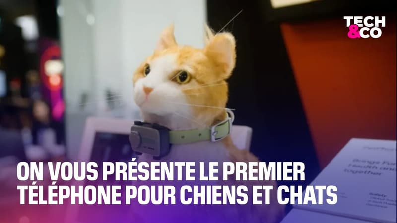 On-vous-presente-le-premier-telephone-pour-chiens-et-chats-2137185
