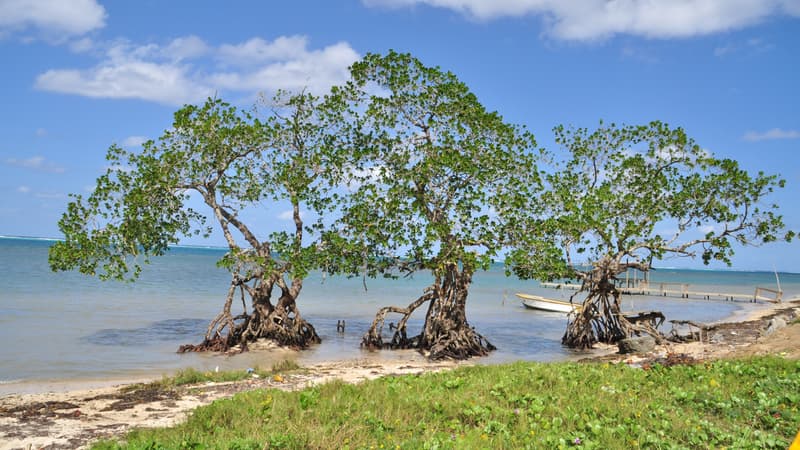 Porc-épic tombé du plafond, épreuves façon “Koh-Lanta” et gastro fulgurante: comment le séminaire d’entreprise de Plex a viré au chaos… pourtant fédérateur