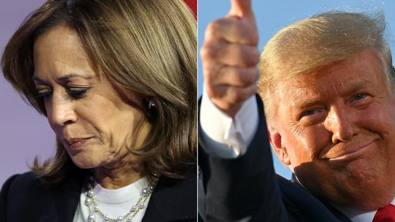 “Tiktok n’est pas une fenêtre neutre sur la politique”: une étude révèle qu’en amont de l’élection présidentielle américaine, le réseau social chinois a favorisé les contenus conservateurs, favorables à Donald Trump