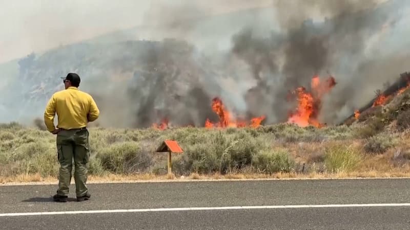 De la forêt de Fontainebleau à l’Ouest américain, des caméras intelligentes veillent et détectent le moindre signe de fumée pour prévenir des incendies de plus en plus fréquents