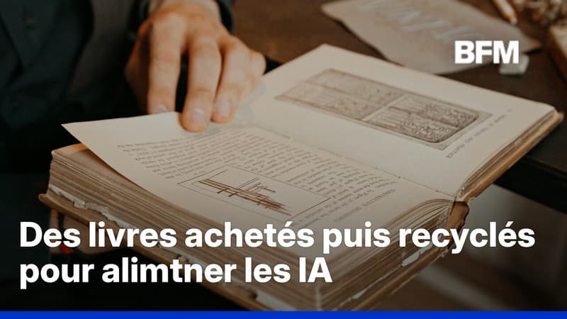 Intelligence artificielle: des livres anciens achetés par milliers, numérisés puis détruits